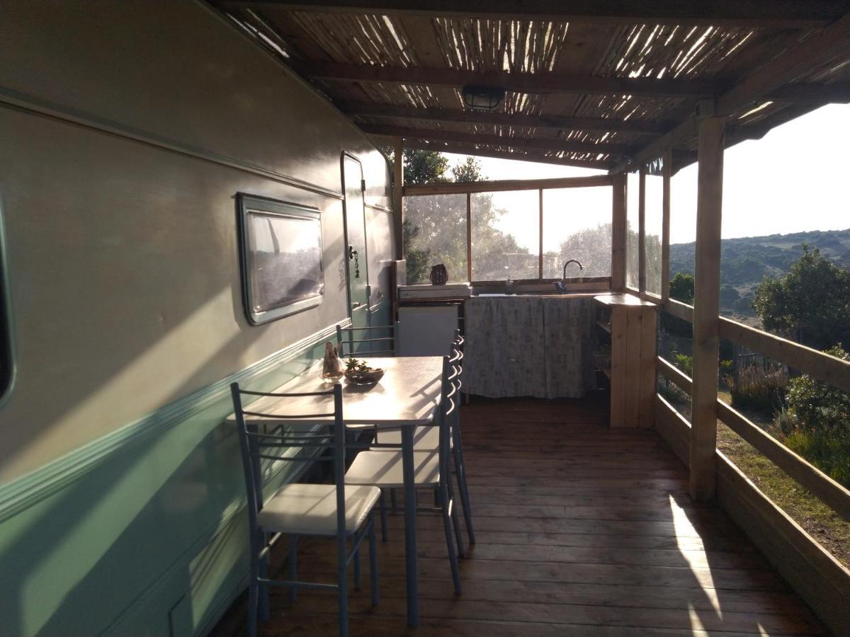 La Cera Farm Camping B&B Santa Teresa Gallura Zewnętrze zdjęcie