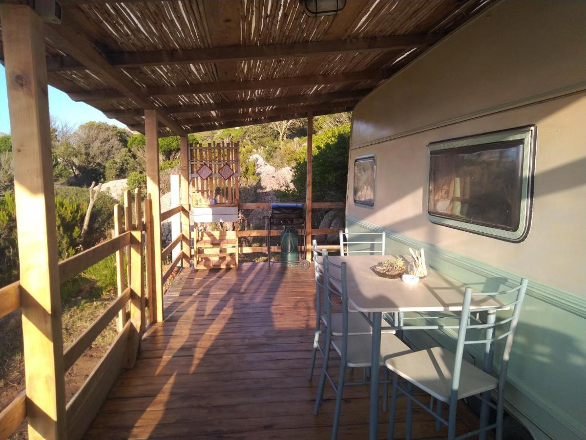 La Cera Farm Camping B&B Santa Teresa Gallura Zewnętrze zdjęcie