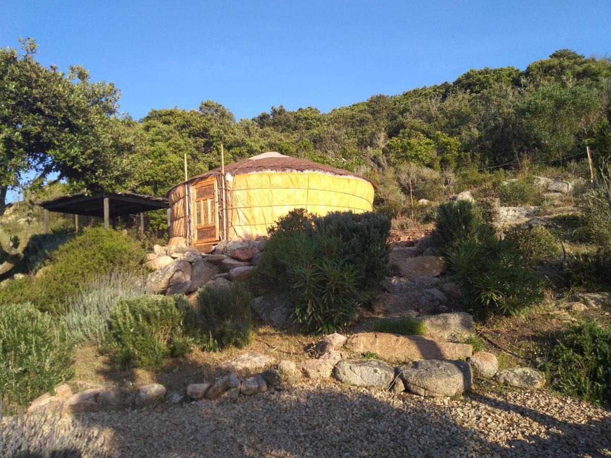 La Cera Farm Camping B&B Santa Teresa Gallura Zewnętrze zdjęcie
