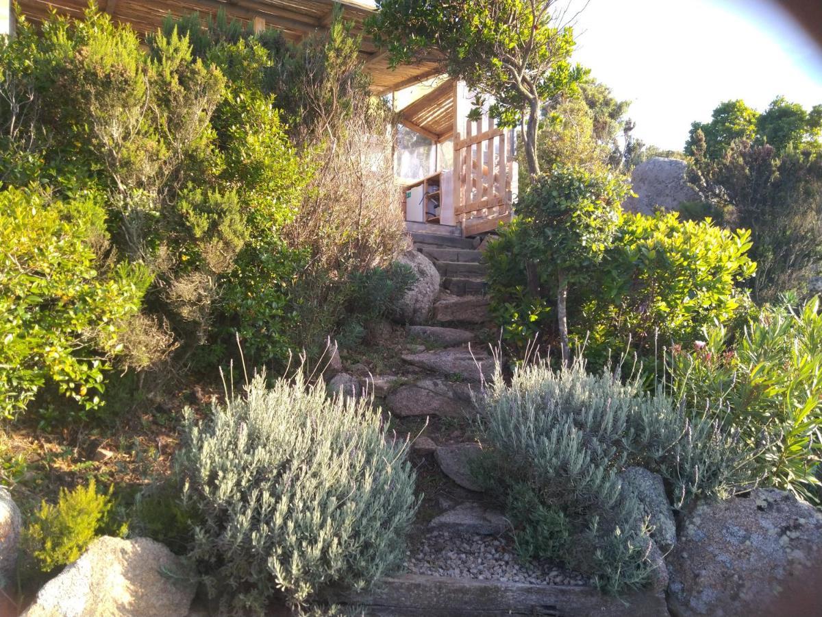 La Cera Farm Camping B&B Santa Teresa Gallura Zewnętrze zdjęcie