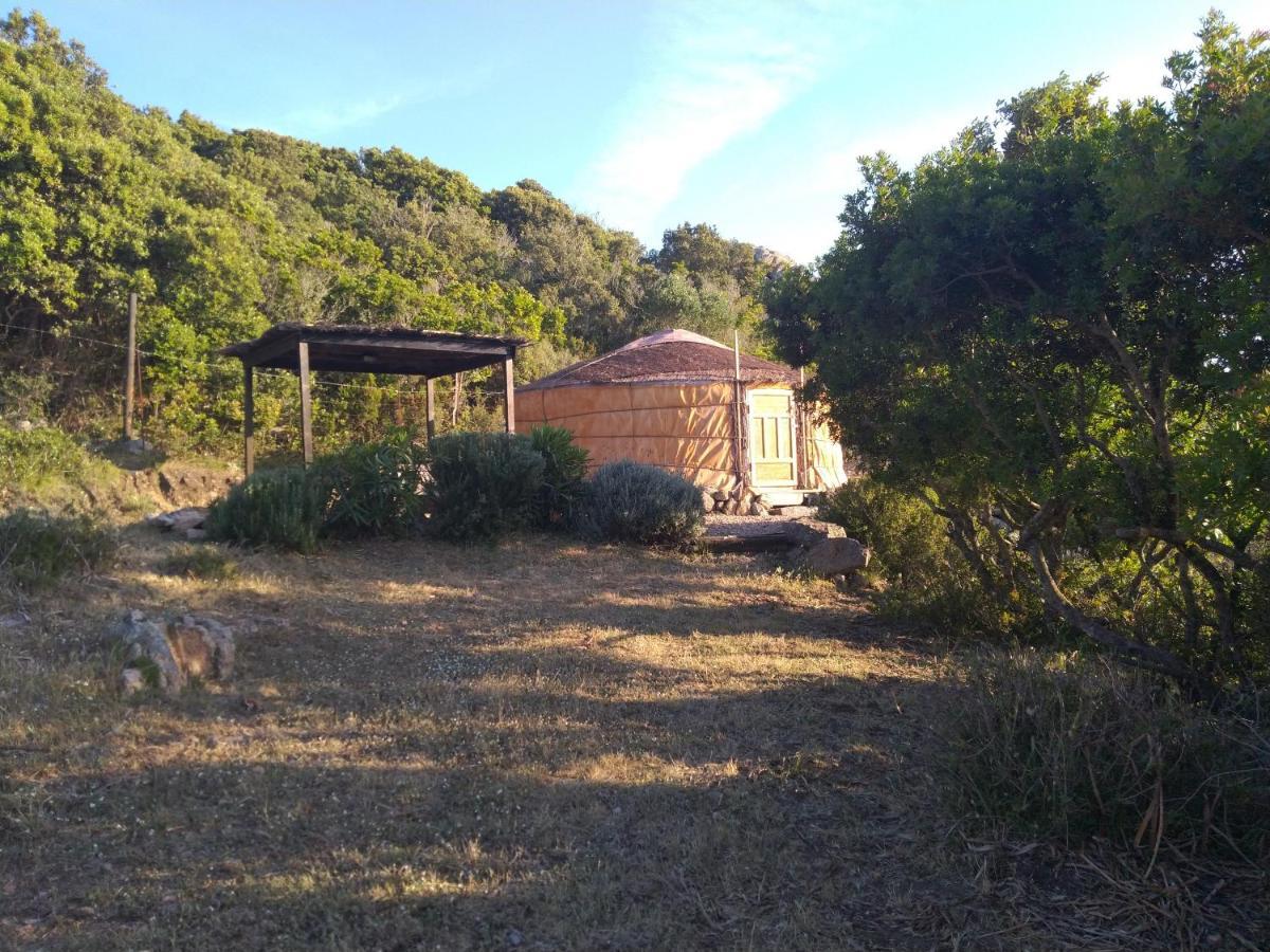 La Cera Farm Camping B&B Santa Teresa Gallura Zewnętrze zdjęcie