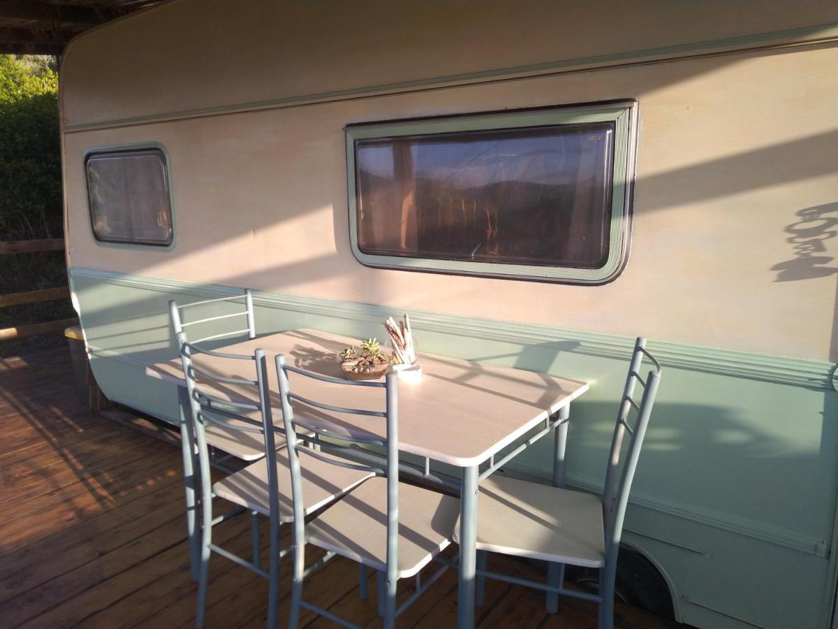 La Cera Farm Camping B&B Santa Teresa Gallura Zewnętrze zdjęcie