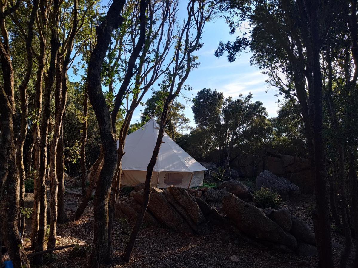 La Cera Farm Camping B&B Santa Teresa Gallura Zewnętrze zdjęcie