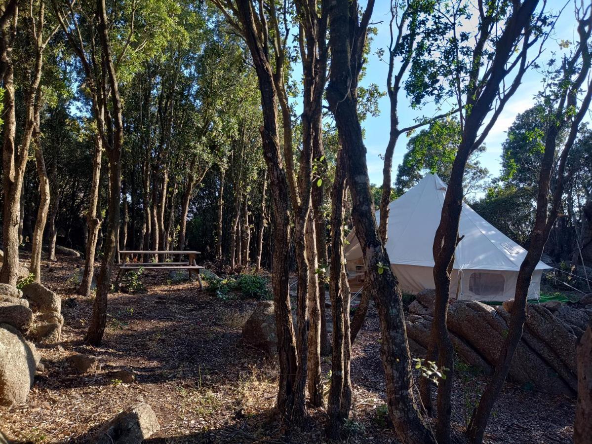 La Cera Farm Camping B&B Santa Teresa Gallura Zewnętrze zdjęcie