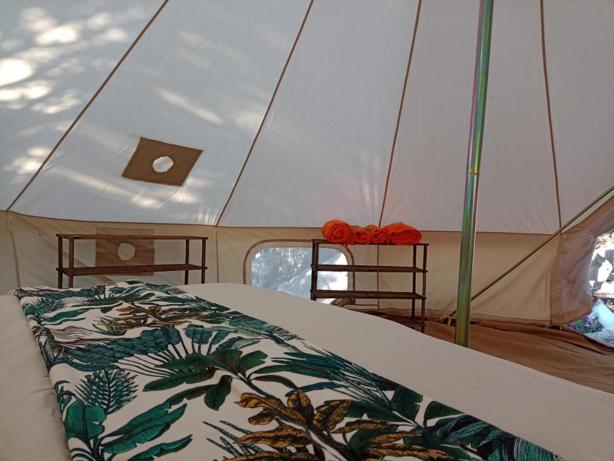 La Cera Farm Camping B&B Santa Teresa Gallura Zewnętrze zdjęcie