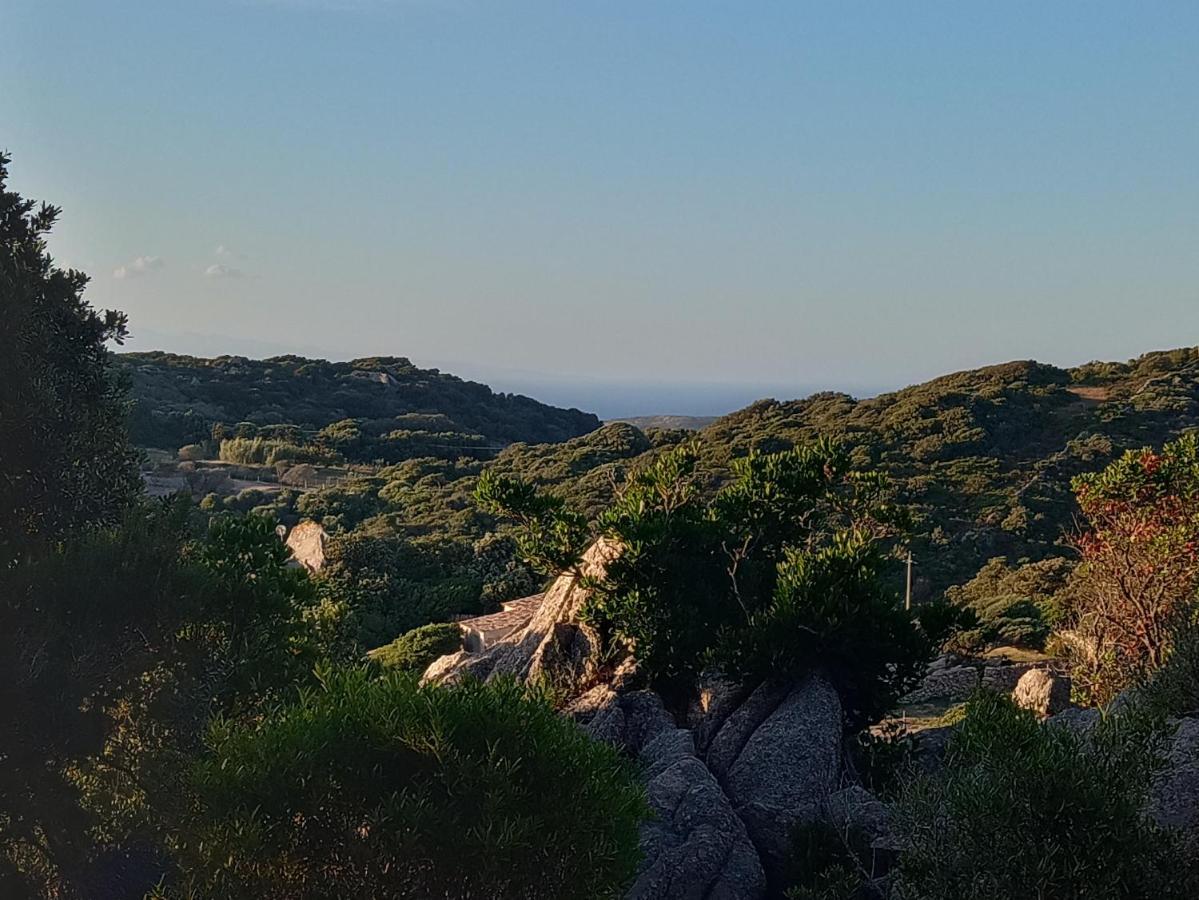 La Cera Farm Camping B&B Santa Teresa Gallura Zewnętrze zdjęcie