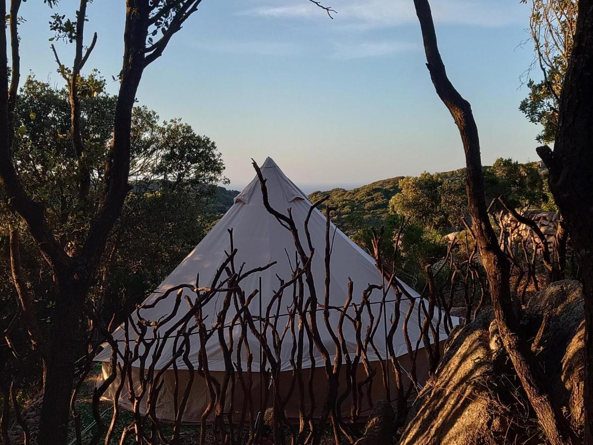 La Cera Farm Camping B&B Santa Teresa Gallura Zewnętrze zdjęcie