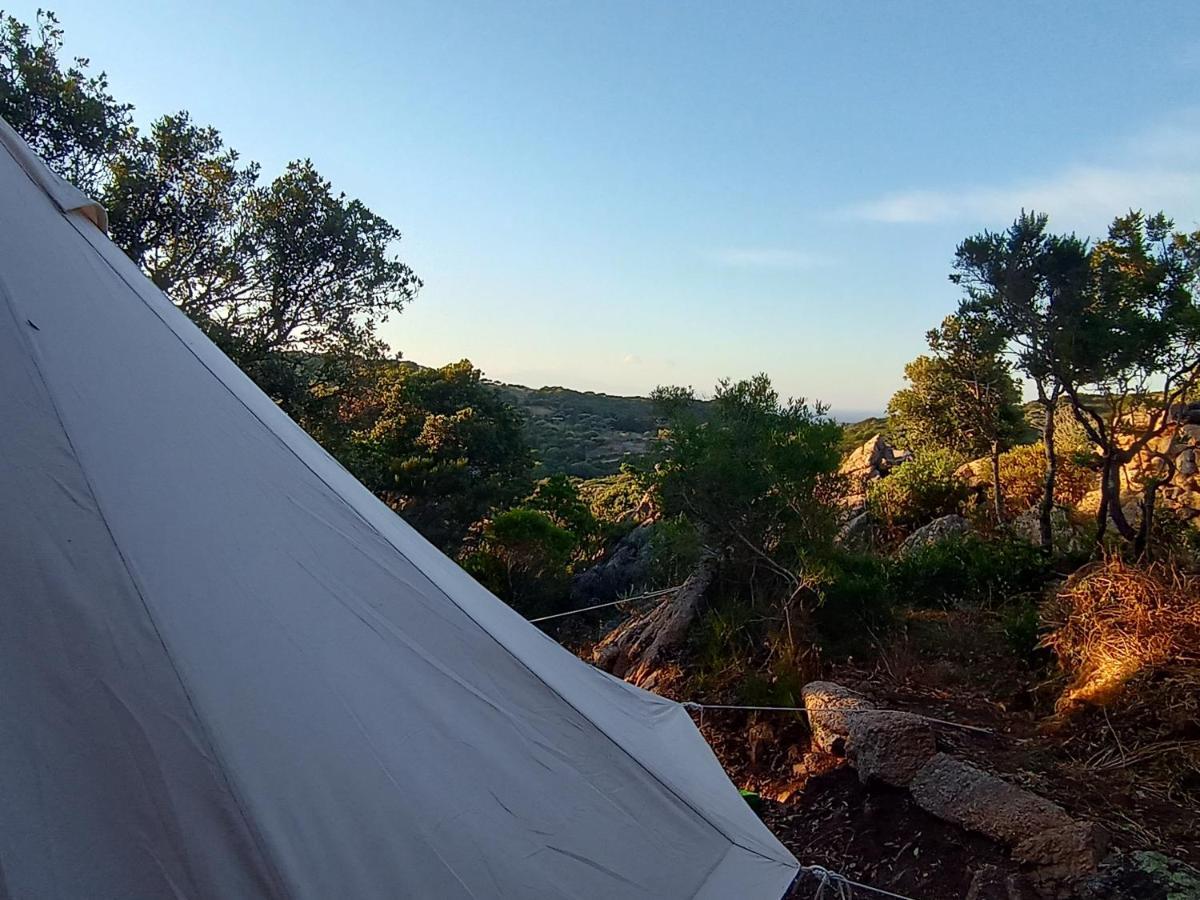 La Cera Farm Camping B&B Santa Teresa Gallura Zewnętrze zdjęcie