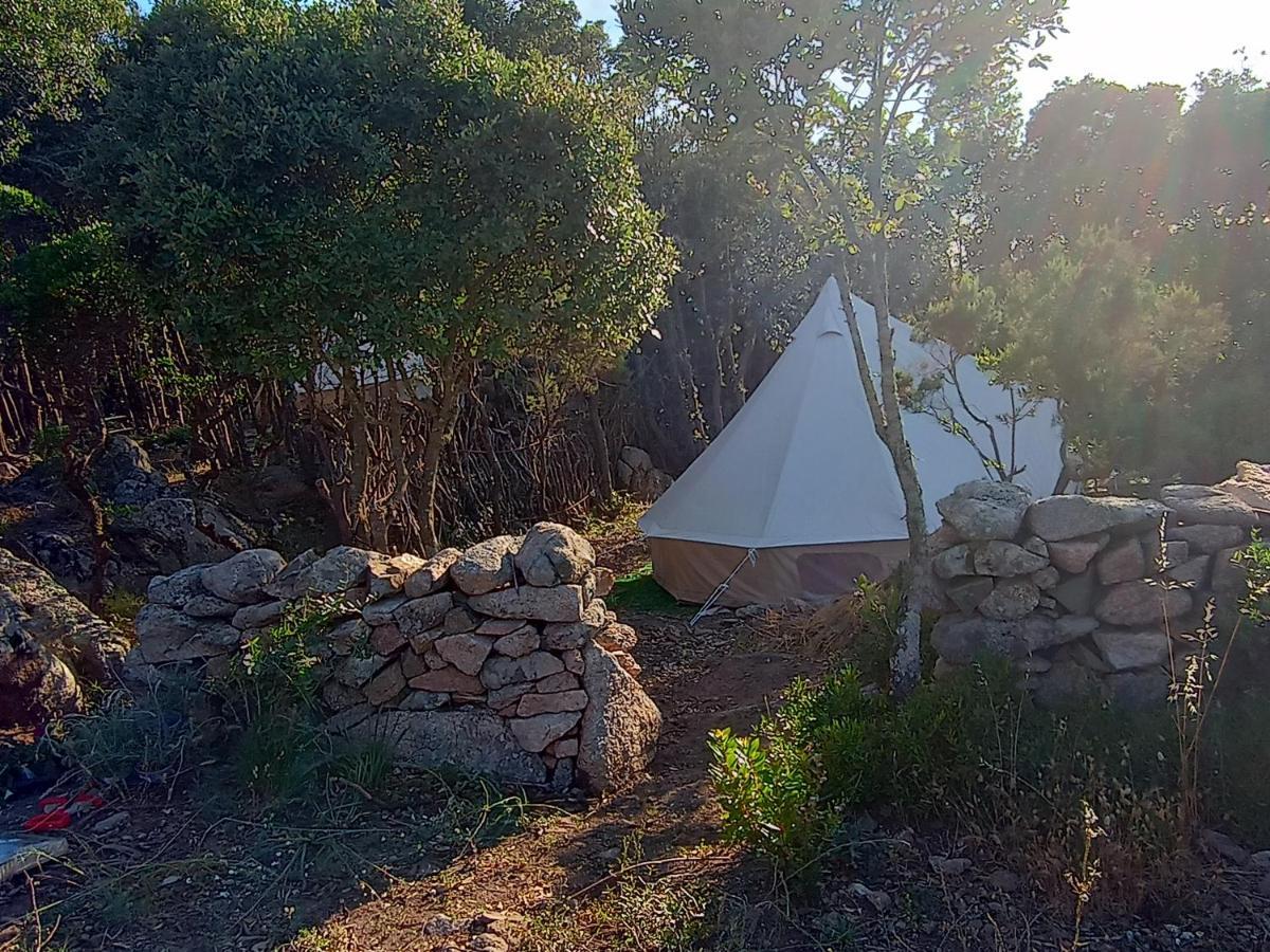 La Cera Farm Camping B&B Santa Teresa Gallura Zewnętrze zdjęcie