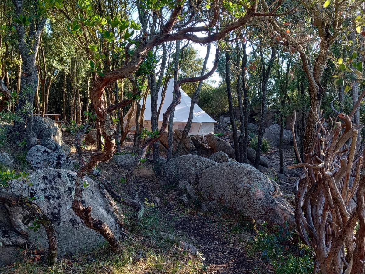 La Cera Farm Camping B&B Santa Teresa Gallura Zewnętrze zdjęcie