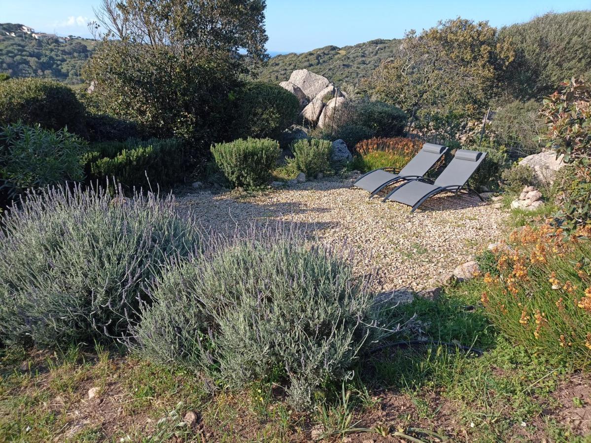 La Cera Farm Camping B&B Santa Teresa Gallura Zewnętrze zdjęcie