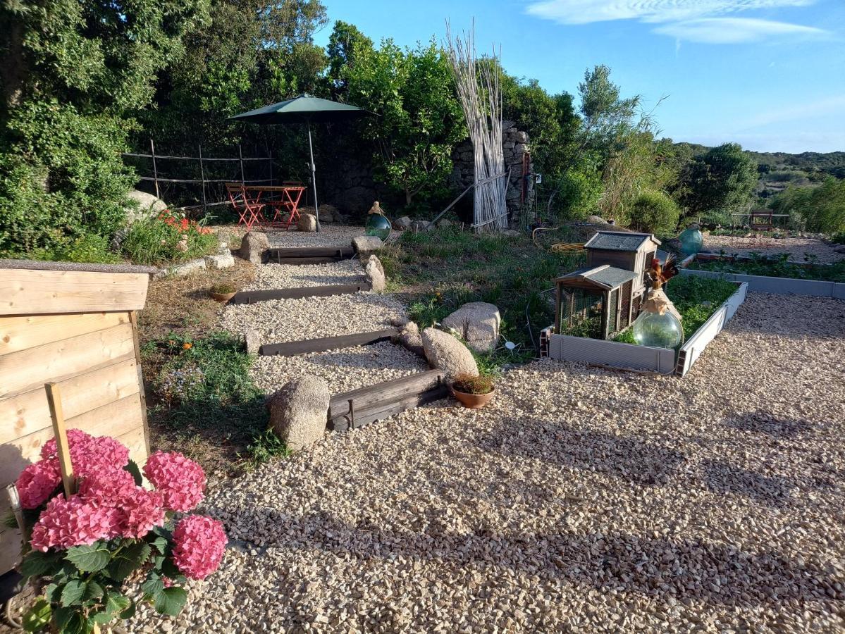 La Cera Farm Camping B&B Santa Teresa Gallura Zewnętrze zdjęcie