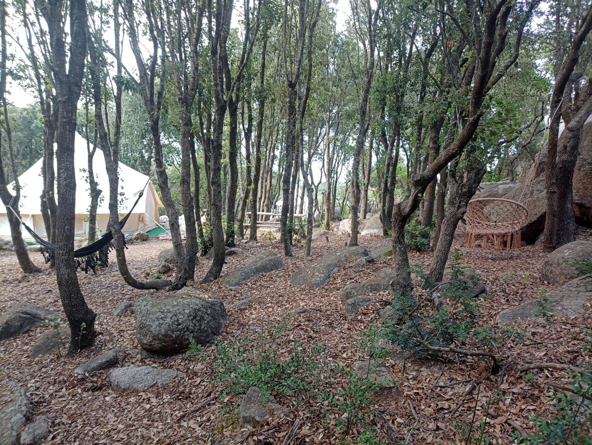 La Cera Farm Camping B&B Santa Teresa Gallura Zewnętrze zdjęcie