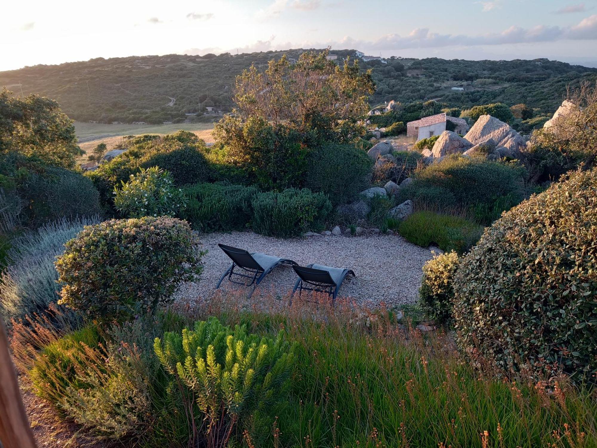 La Cera Farm Camping B&B Santa Teresa Gallura Zewnętrze zdjęcie