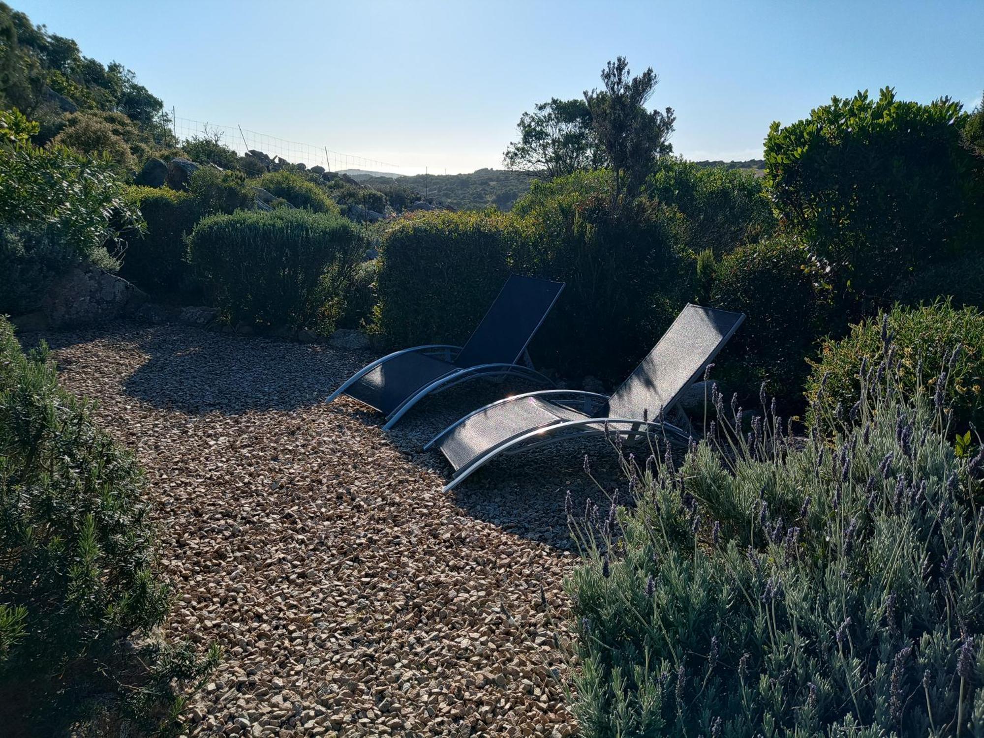 La Cera Farm Camping B&B Santa Teresa Gallura Zewnętrze zdjęcie