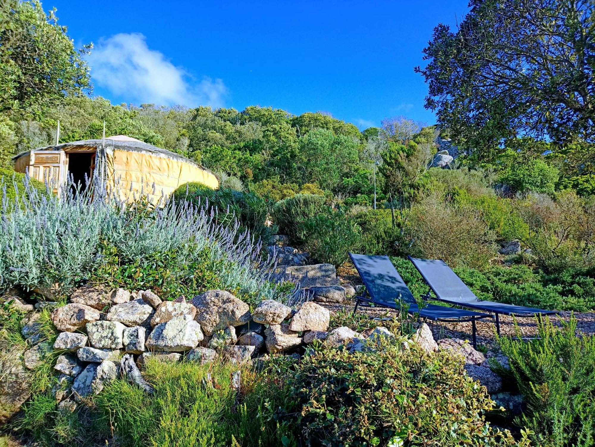 La Cera Farm Camping B&B Santa Teresa Gallura Zewnętrze zdjęcie