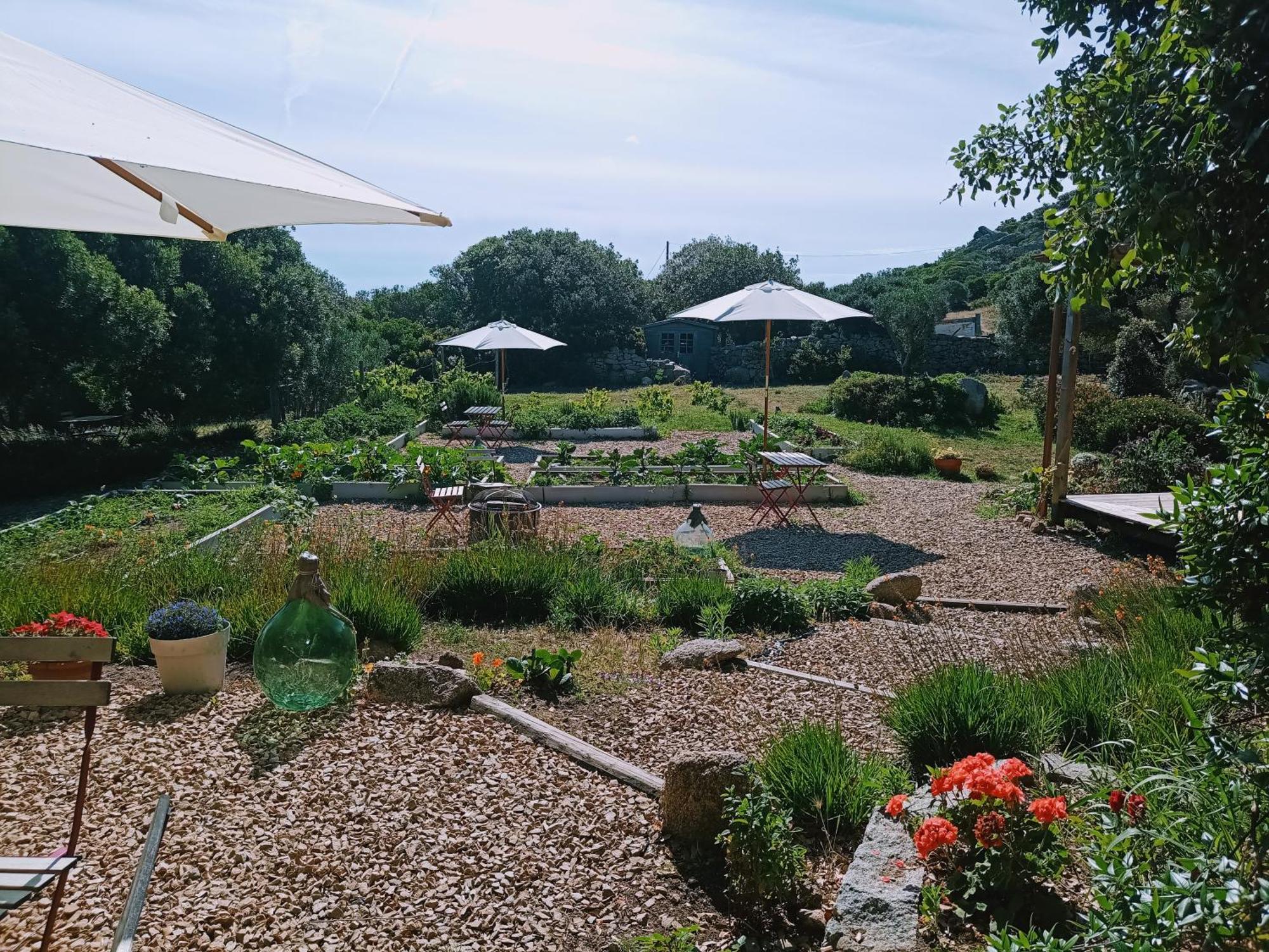La Cera Farm Camping B&B Santa Teresa Gallura Zewnętrze zdjęcie