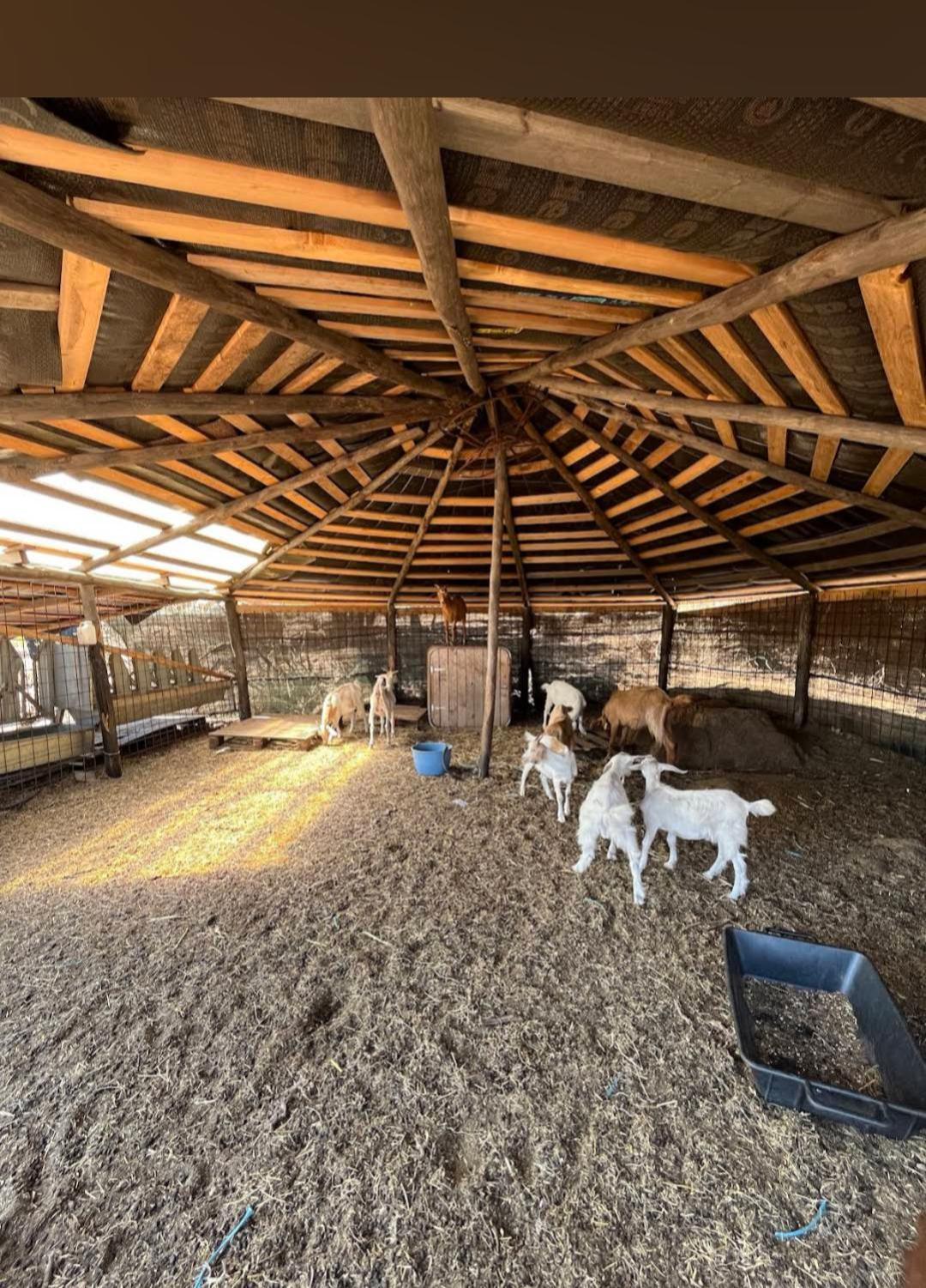 La Cera Farm Camping B&B Santa Teresa Gallura Zewnętrze zdjęcie
