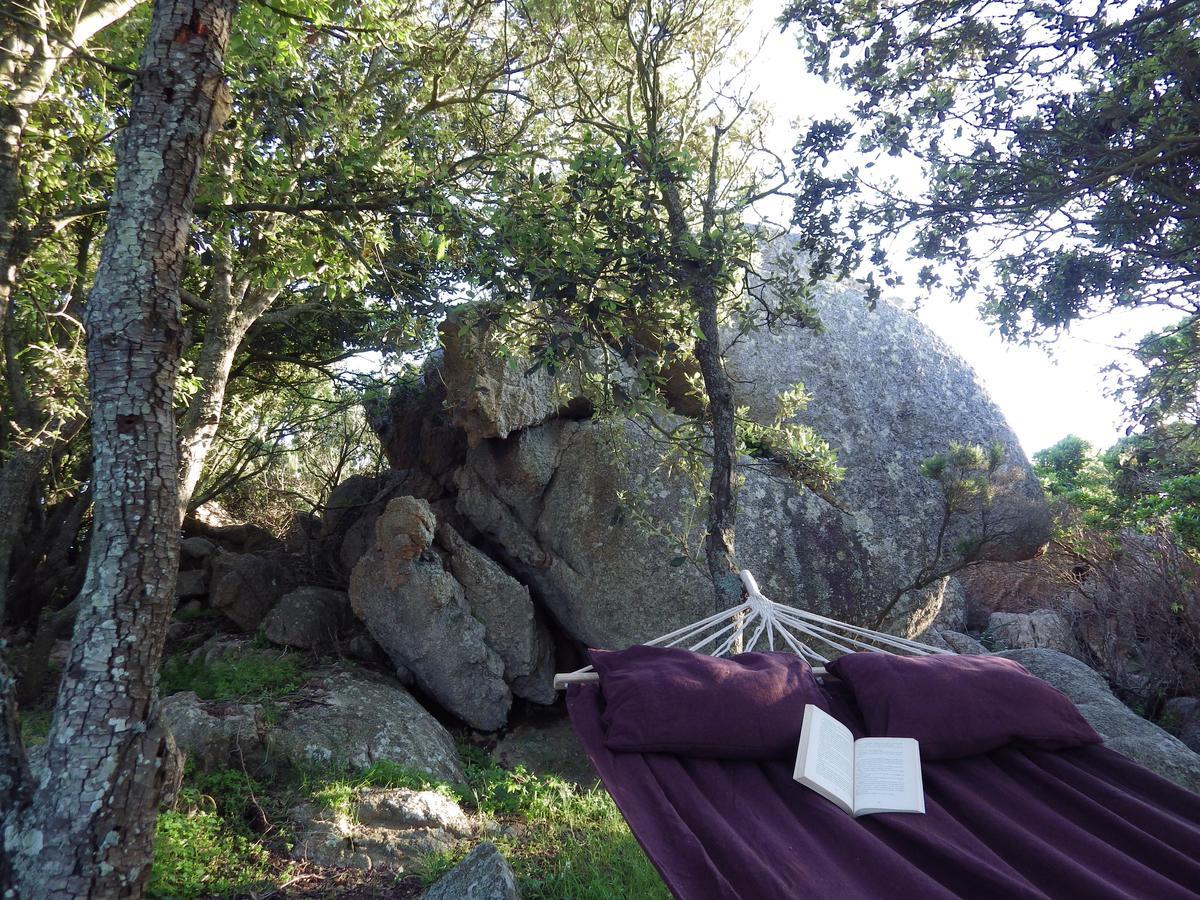 La Cera Farm Camping B&B Santa Teresa Gallura Zewnętrze zdjęcie
