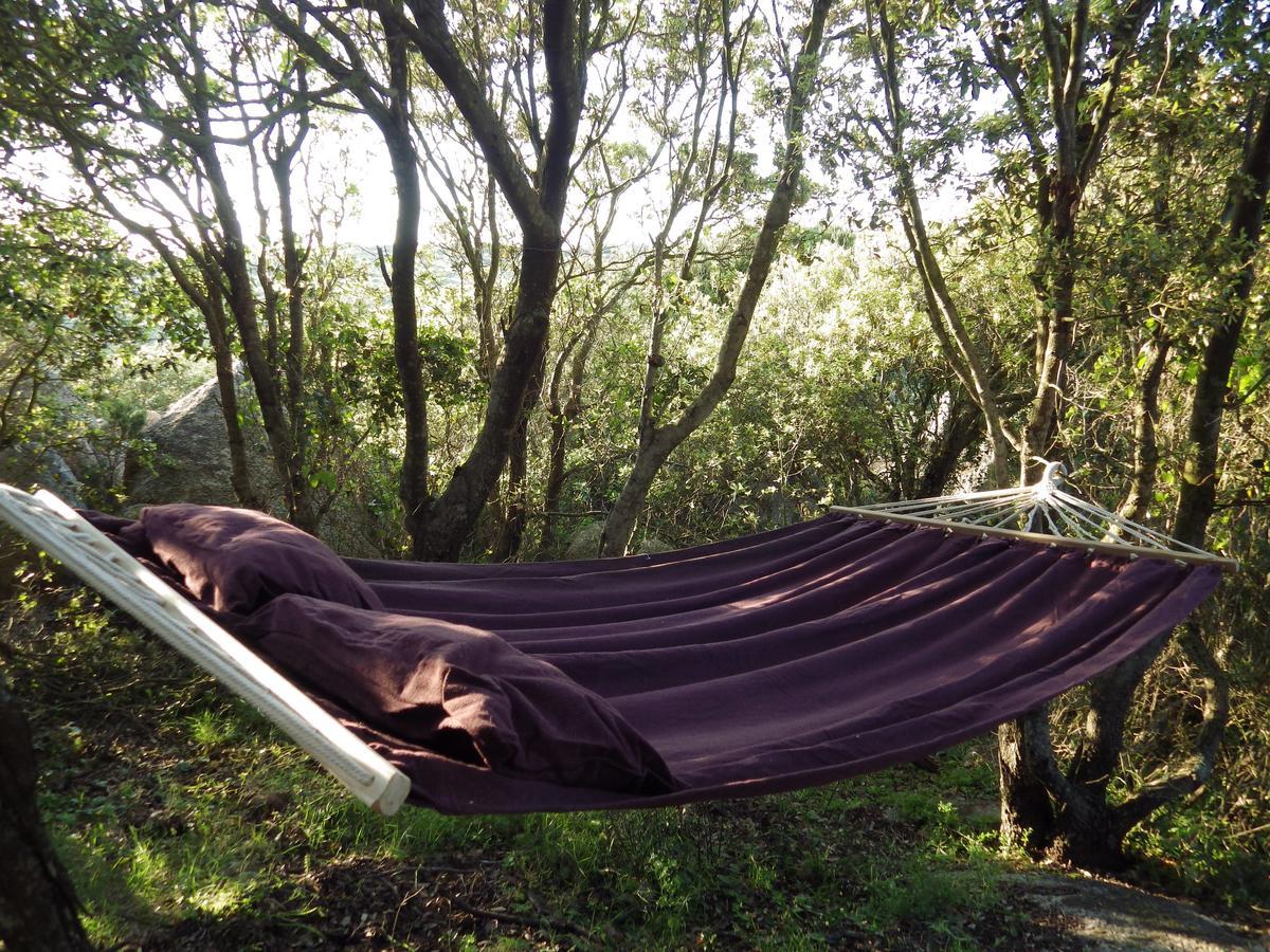La Cera Farm Camping B&B Santa Teresa Gallura Zewnętrze zdjęcie